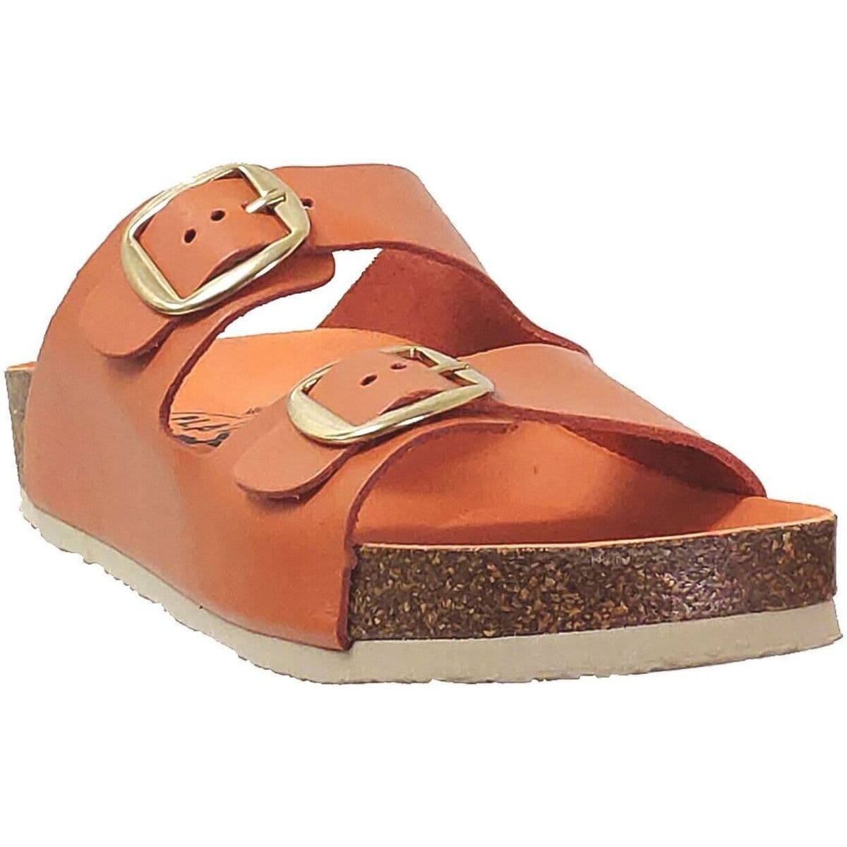 Mules Plakton Cp beta mic square