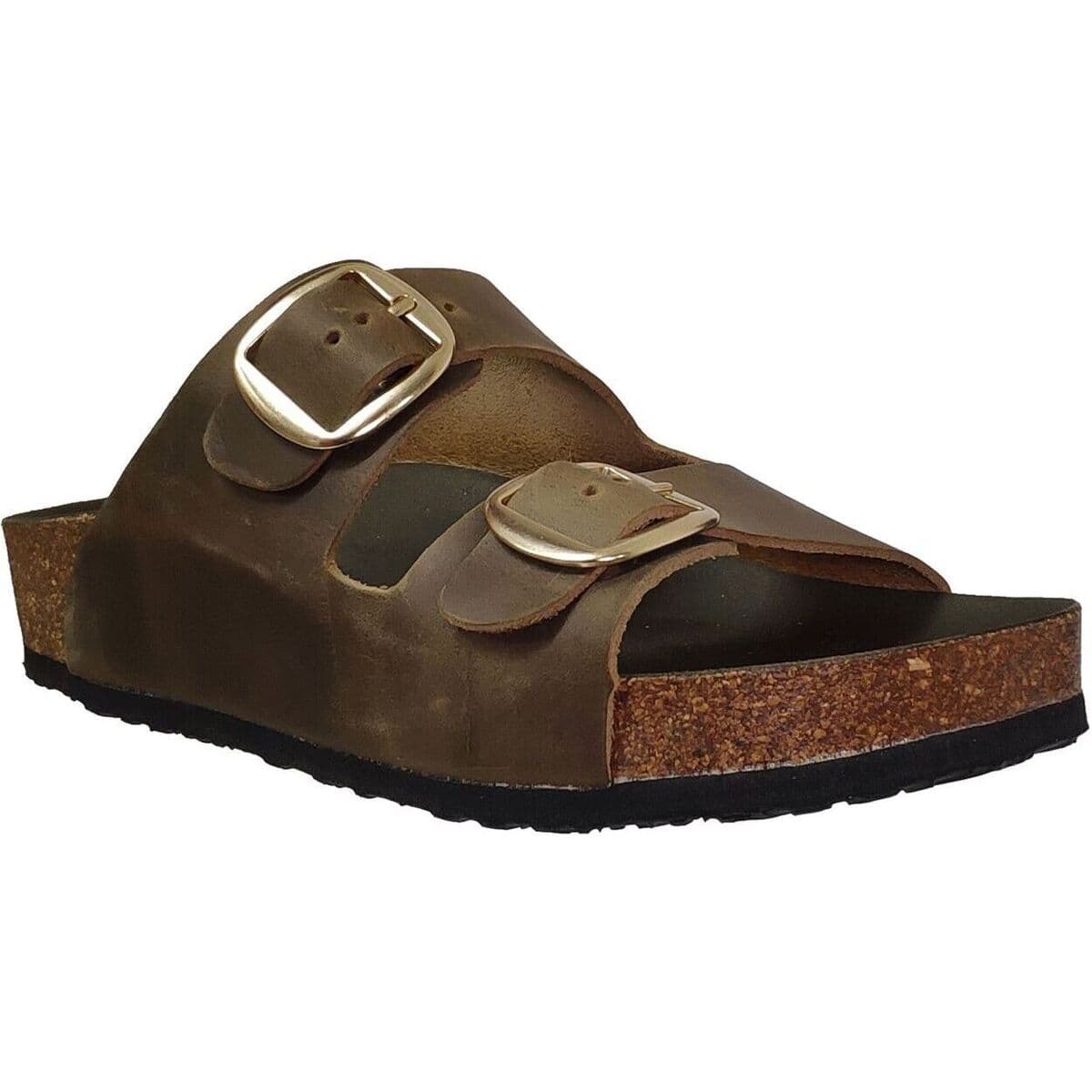 Mules Plakton Cp beta mic square