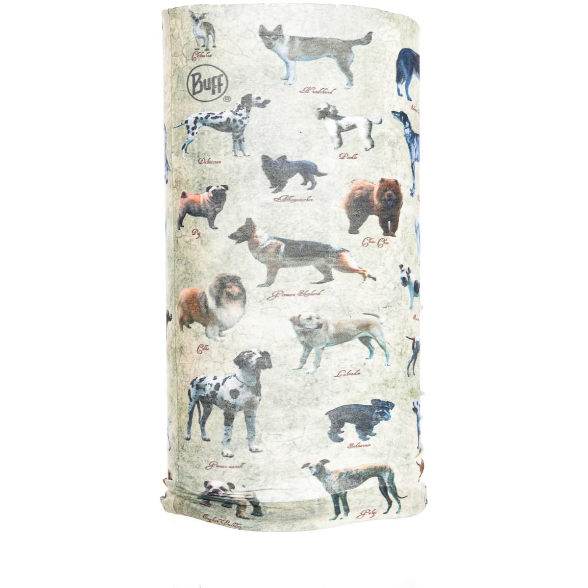 Κασκόλ Buff 104700