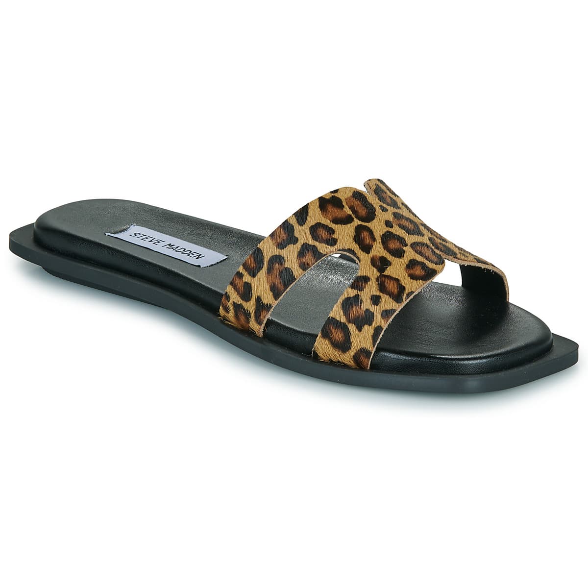 Mules Steve Madden SOFIA