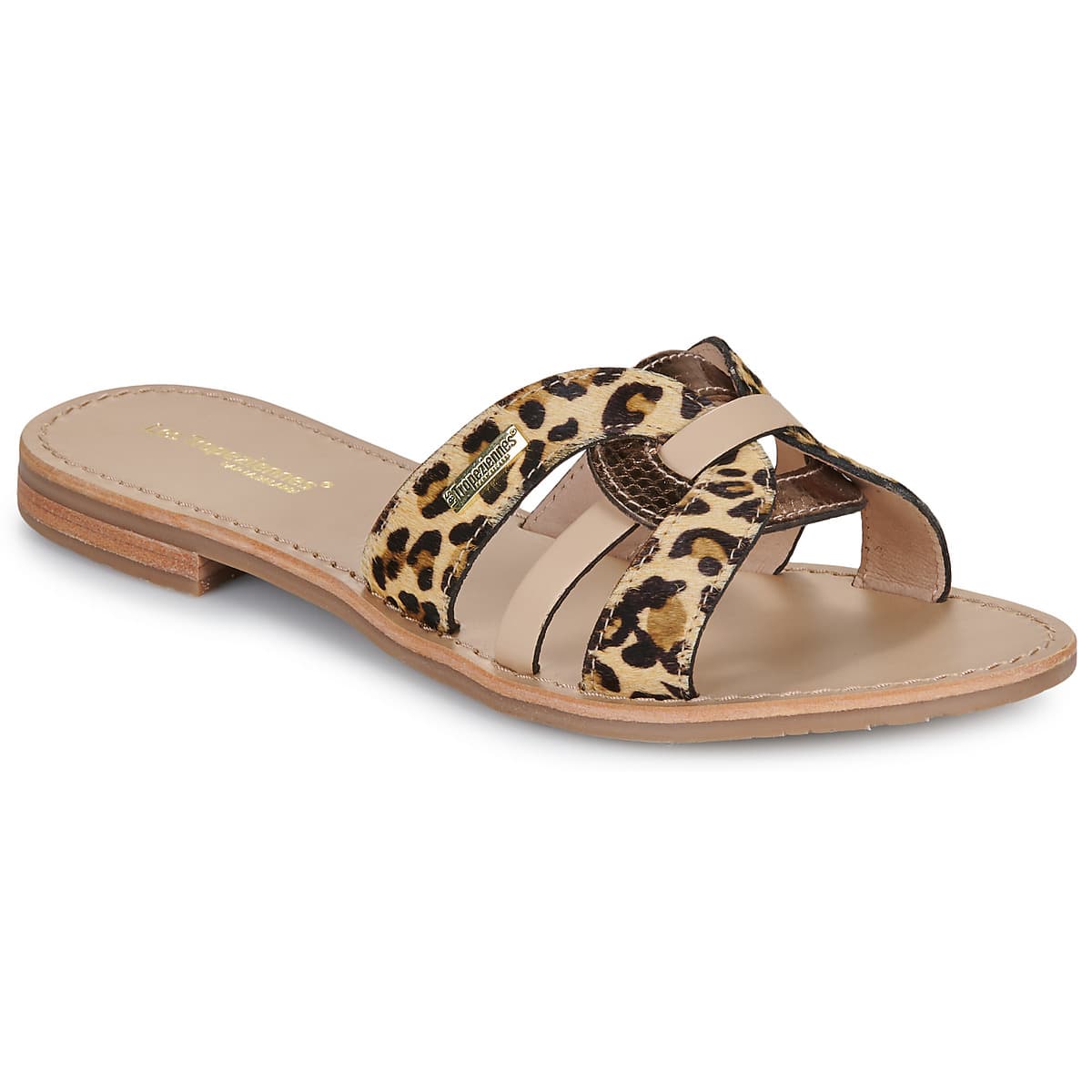 Mules Les Tropeziennes par M.Belarbi HAMSUKOPO