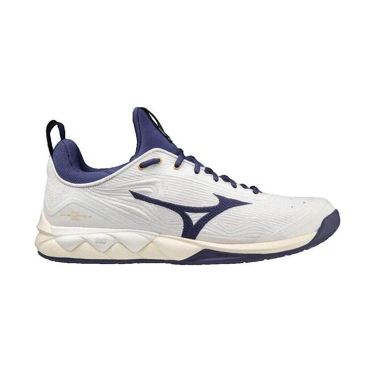 Παπούτσια για τρέξιμο Mizuno Alpine Guide