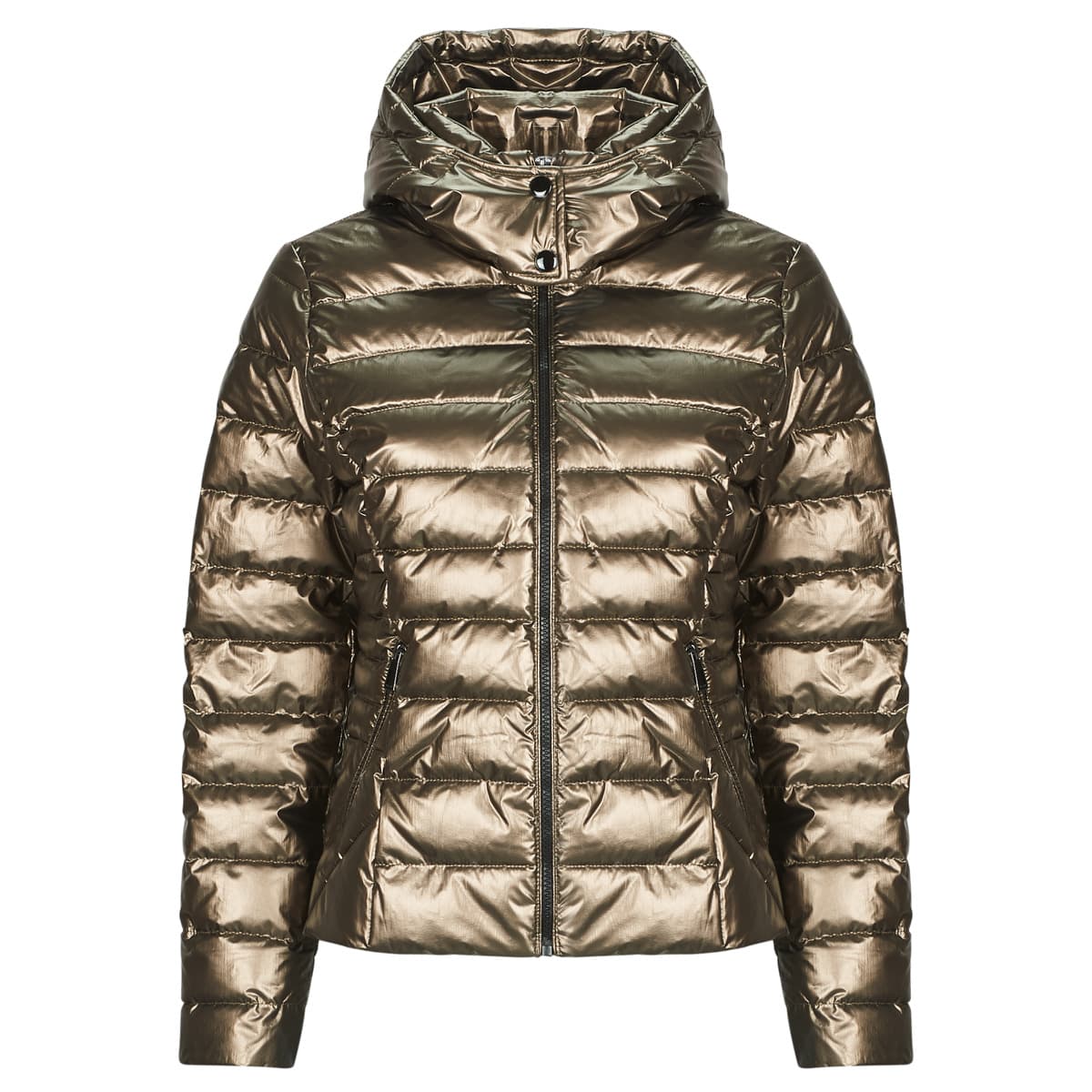 Χοντρό μπουφάν Morgan GELOLA