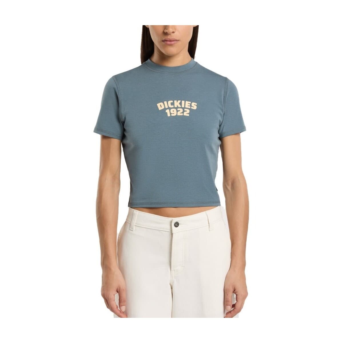 T-shirts & Polos Dickies DK0A4Z8FG701 CENTER LOGO