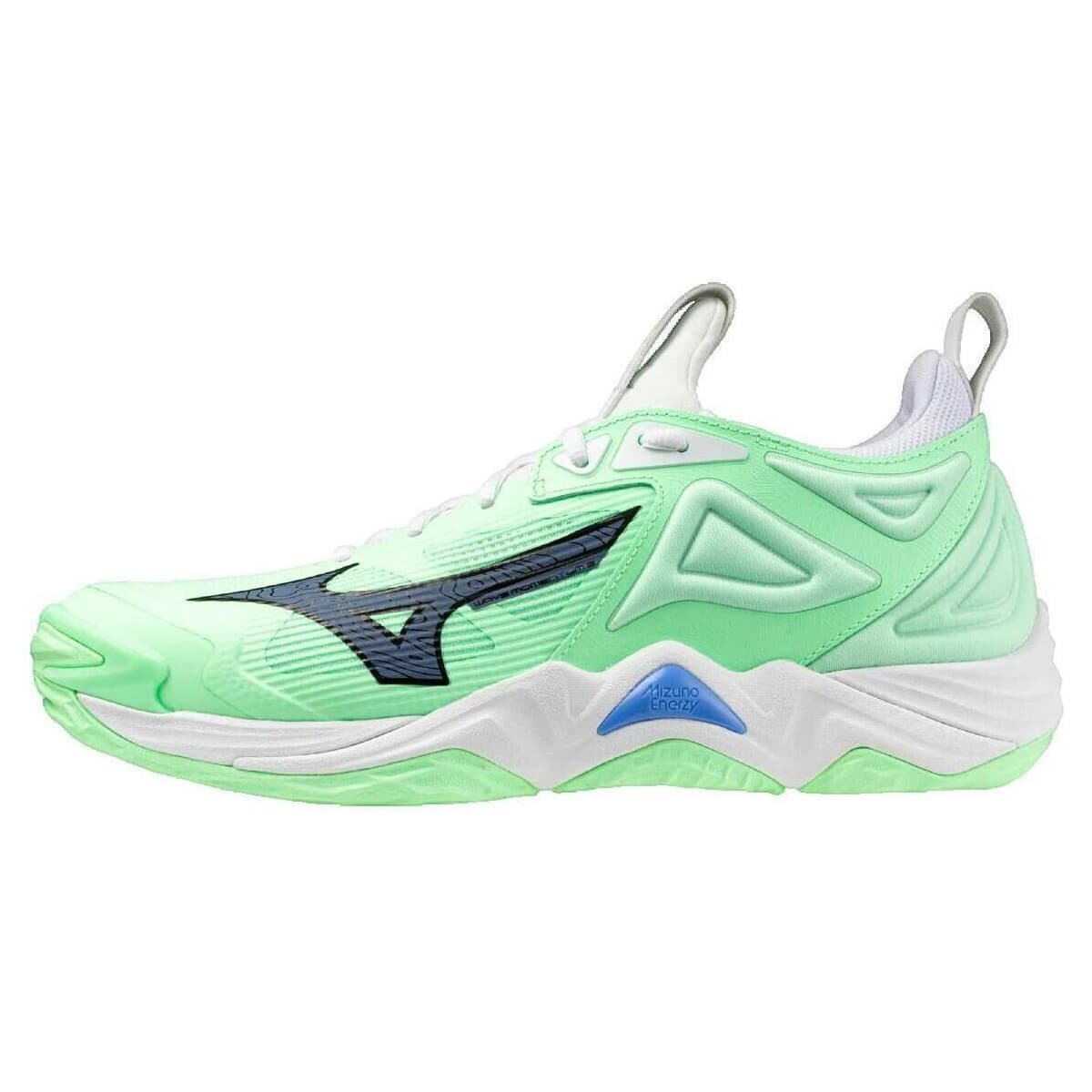 Παπούτσια Sport Mizuno Wave Momentum