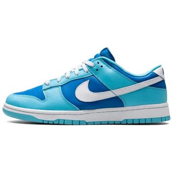 Sneakers Nike Dunk Low Argon