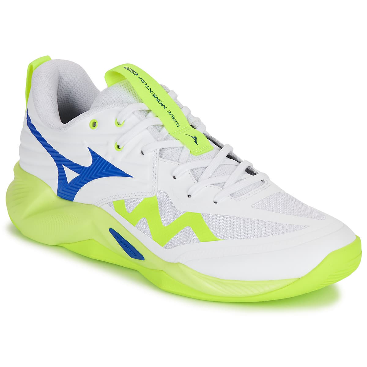 Παπούτσια Sport Mizuno WAVE MOMENTUM PRO
