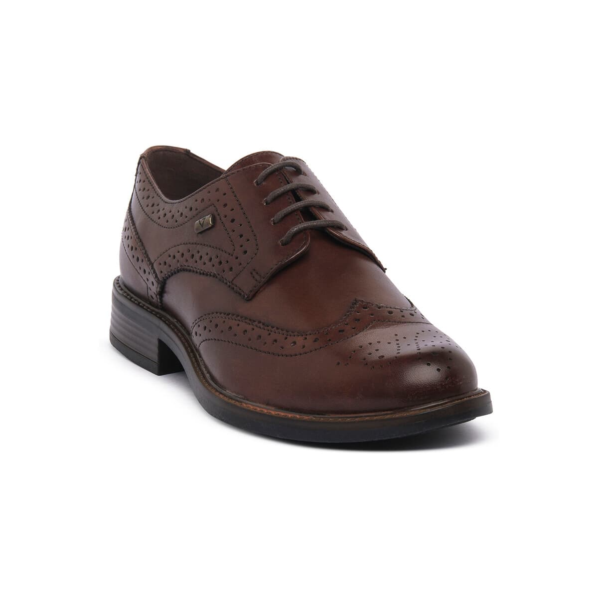 Derbies Valleverde MARRONE