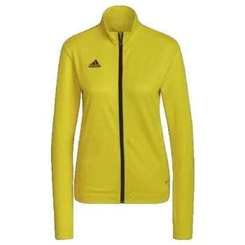 Ζακέτα adidas Veste de survêtement Entrada 22 jaune