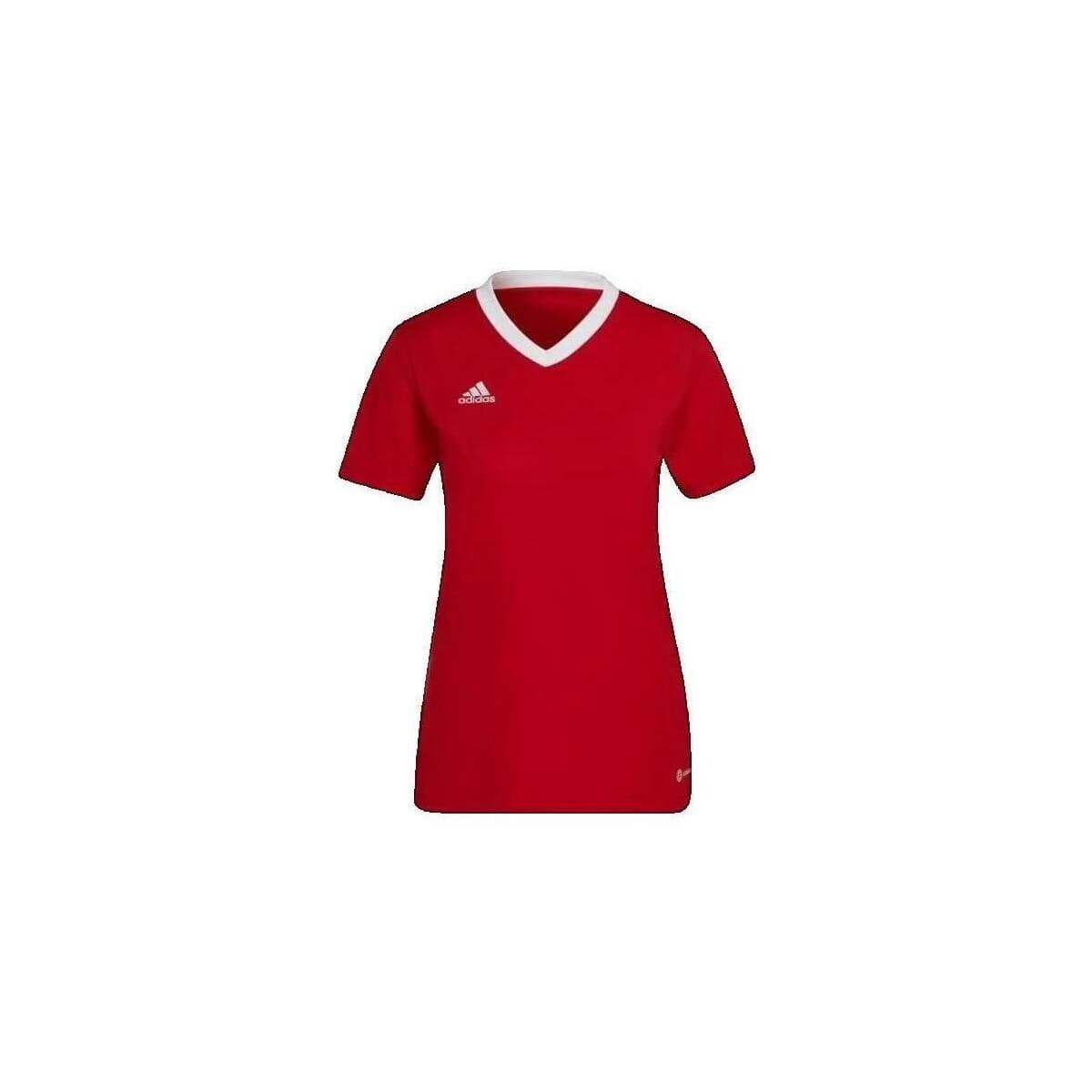 T-shirt με κοντά μανίκια adidas T-shirt Entrada 22 rouge