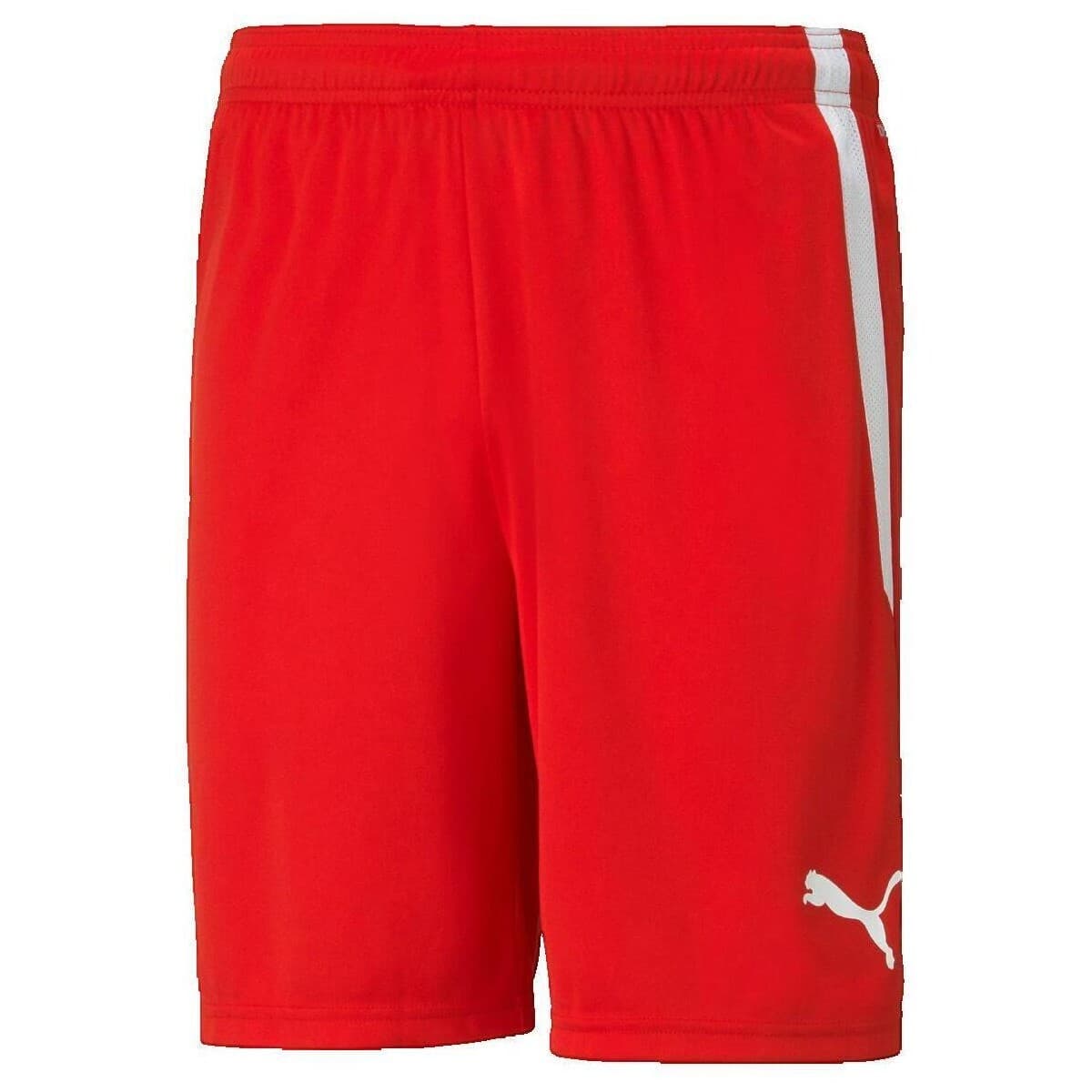 Shorts & Βερμούδες Puma Shorts TeamLiga Performance Rouge
