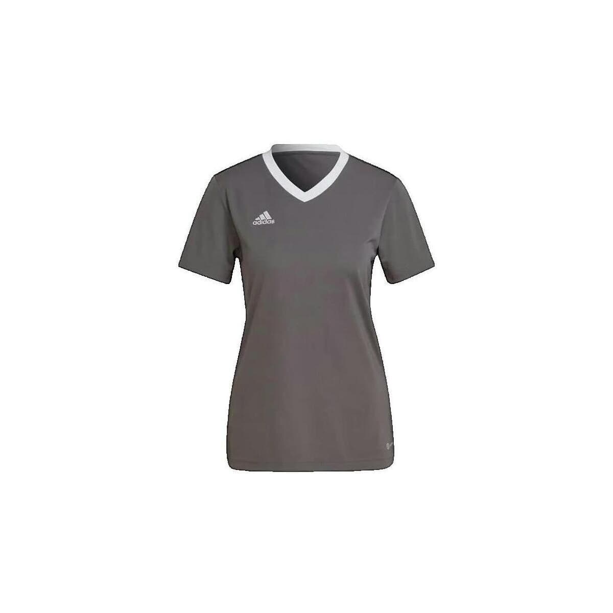 T-shirt με κοντά μανίκια adidas T-shirt Entrada 22 pour femme