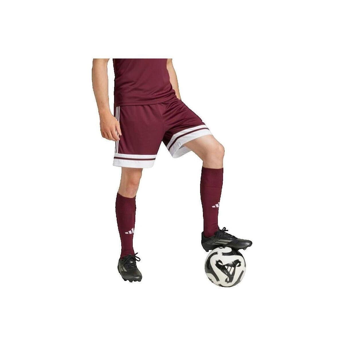 Shorts & Βερμούδες adidas Short Squadra 25 Bordeaux