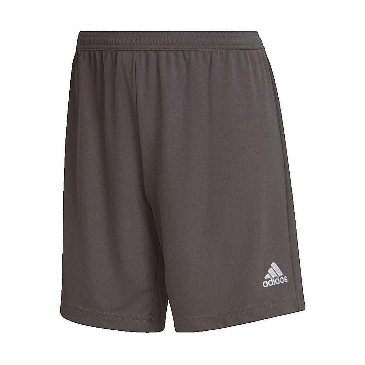 Shorts & Βερμούδες adidas Short Entrada 22