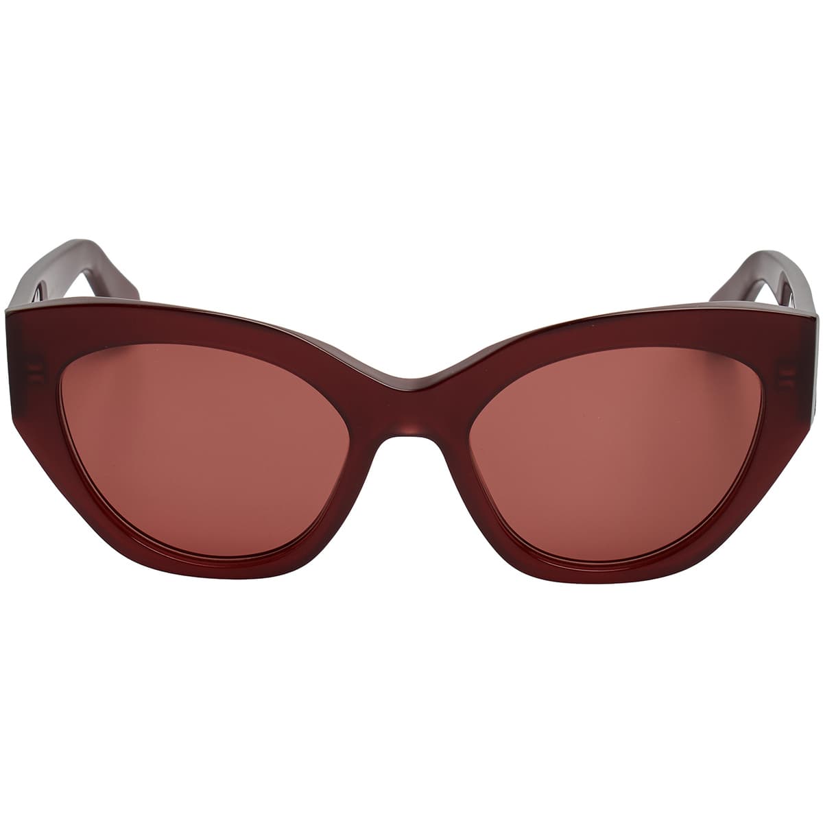 óculos de sol Salvatore Ferragamo SF1107S-653