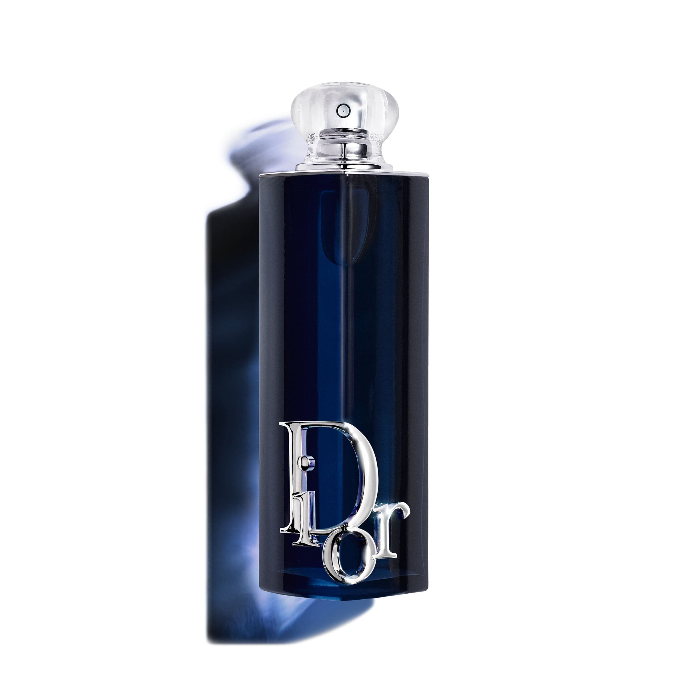 Dior Addict Eau De Parfum | 100ml