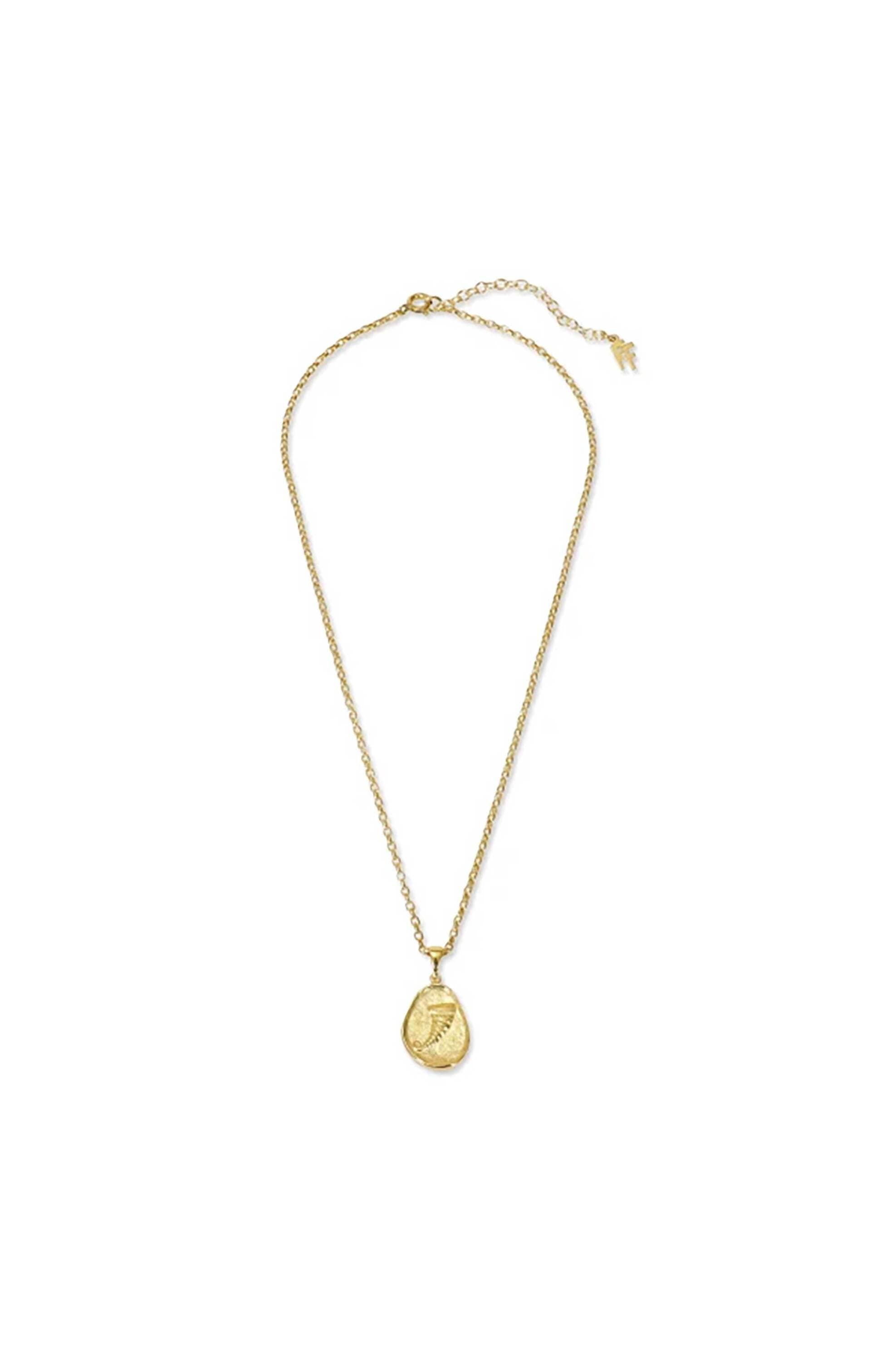 Folli Follie γυναικείο επίχρυσο κολιέ με κέρας Αμάλθειας "Lucky Charm 2026"