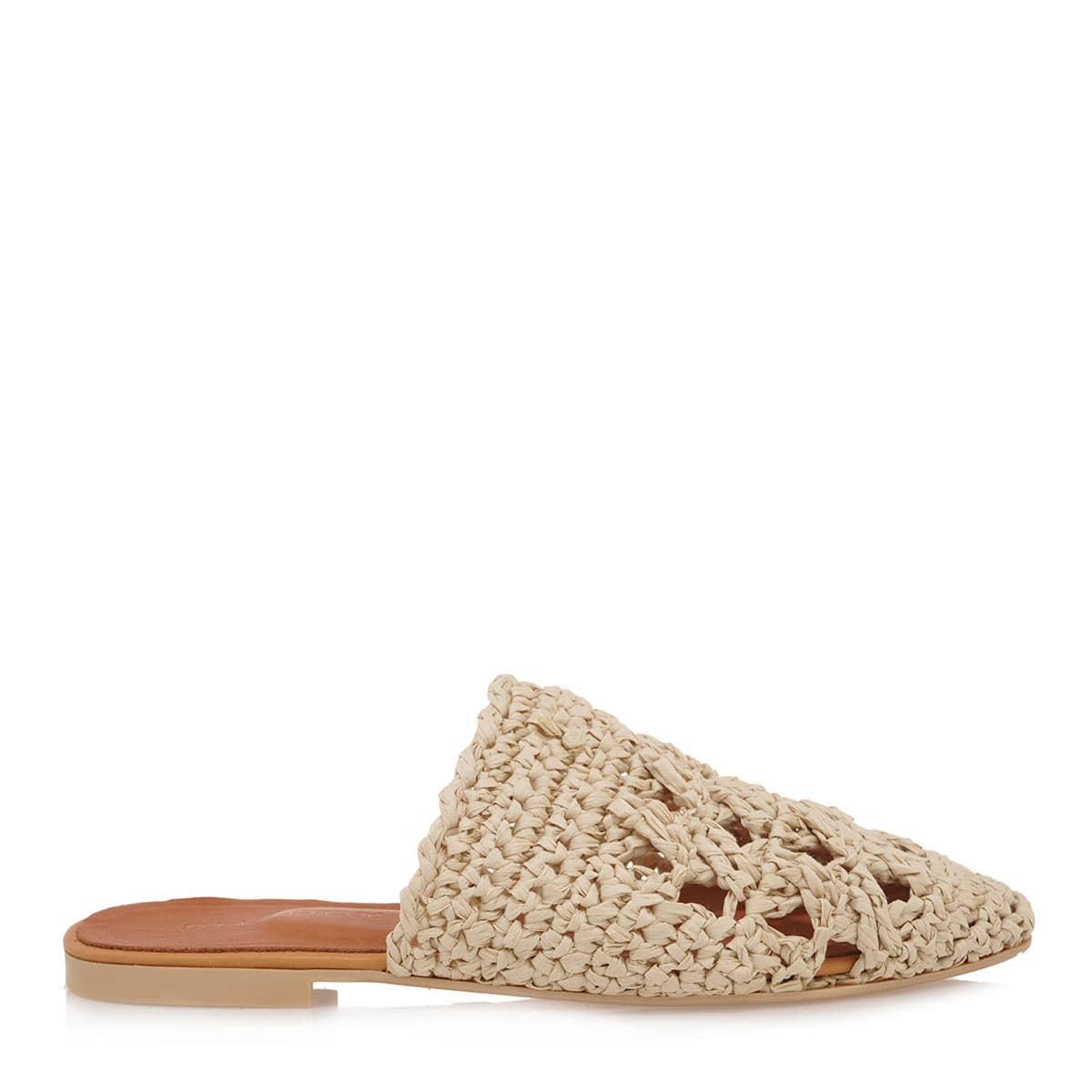 MULES σχέδιο: S480A2021