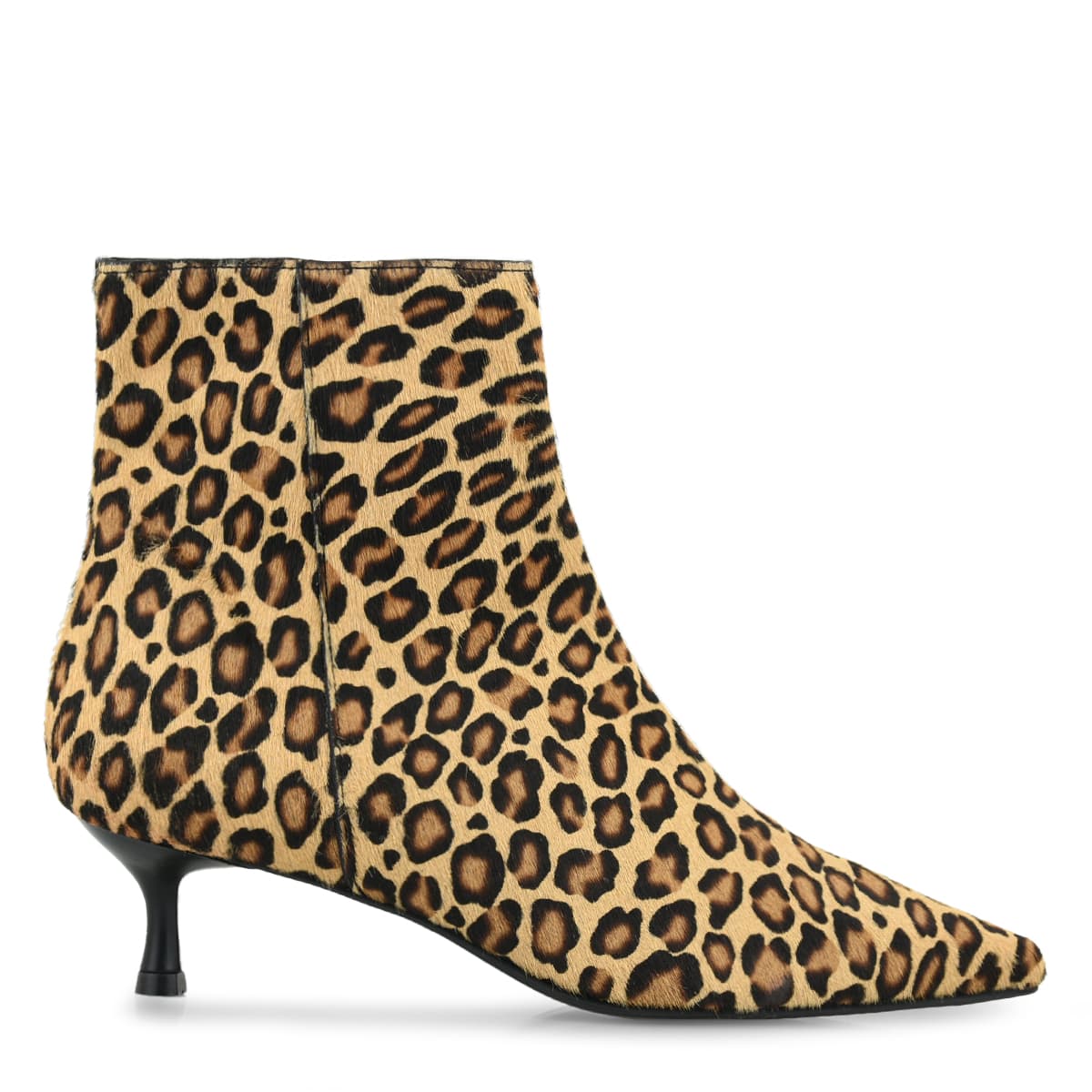 ΜΠΟΤΑΚΙ ΑΣΤΡΑΓΑΛΟΥ σχέδιο: T31007963