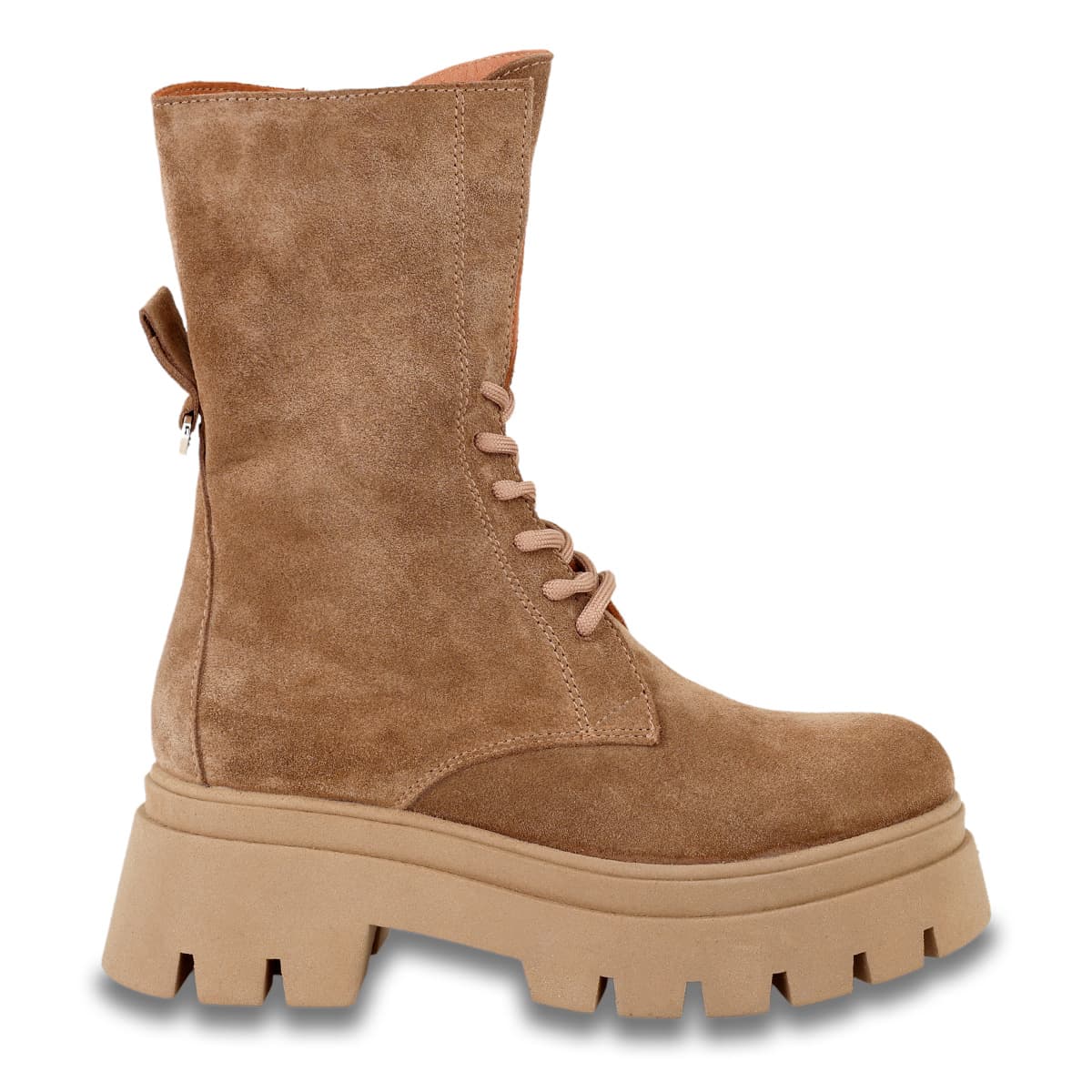 ΑΡΒΥΛΑΚΙΑ σχέδιο: V358E9414