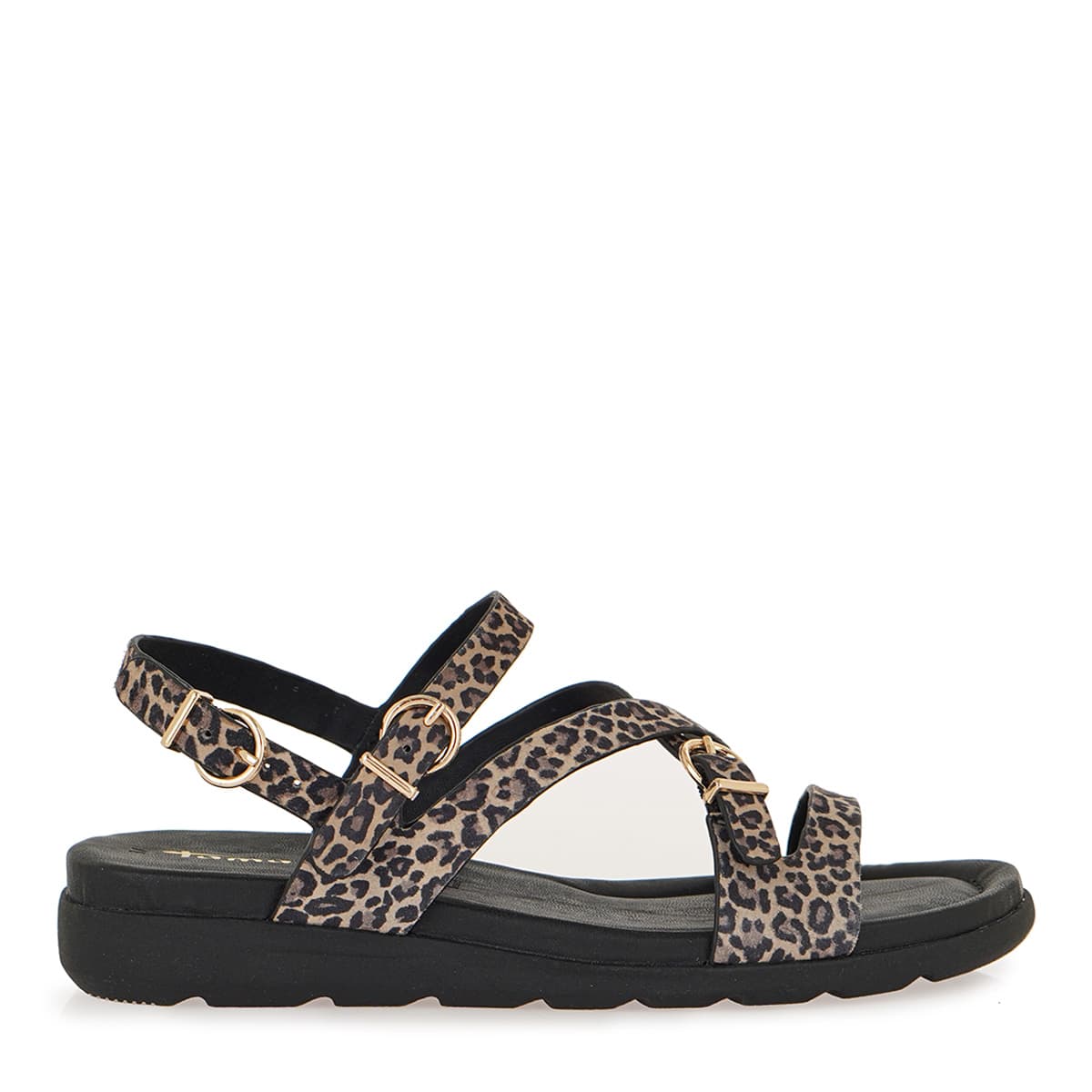 FLATFORMS σχέδιο: W45372312
